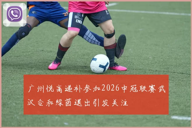广州悦高递补参加2026中冠联赛武汉合和绿茵退出引发关注